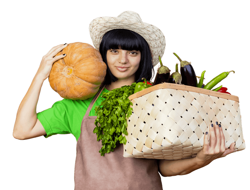 грядки из дпк распродажа